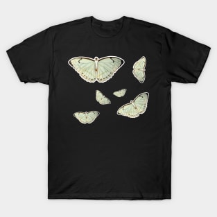 colorful butterfly cute butterfly T-Shirt